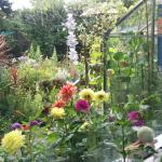 090810_view