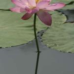_MG_3103-800.jpg