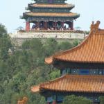 IMG_0863-800.jpg