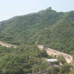 IMG_0957-800.jpg