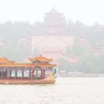 IMG_1052-800.jpg