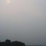 IMG_1057-800.jpg